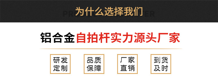 Stick selfie en Alliage d aluminium - Ref 3386875 Image 15