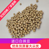 Manufactor wholesale White peas Imported White peas Good Grain Coarse Cereals Red bean paste White peas Hongguan