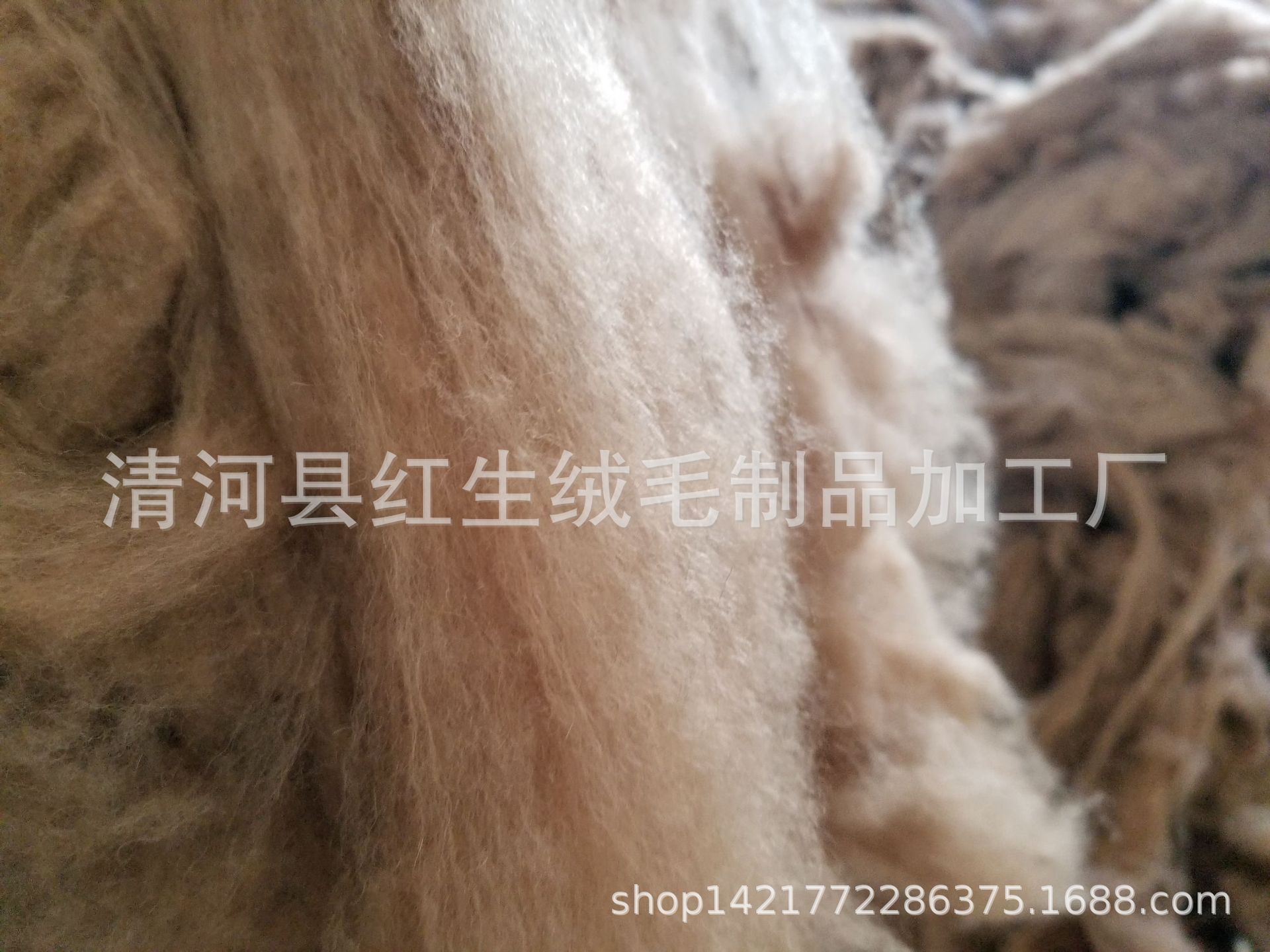 20190403_103808