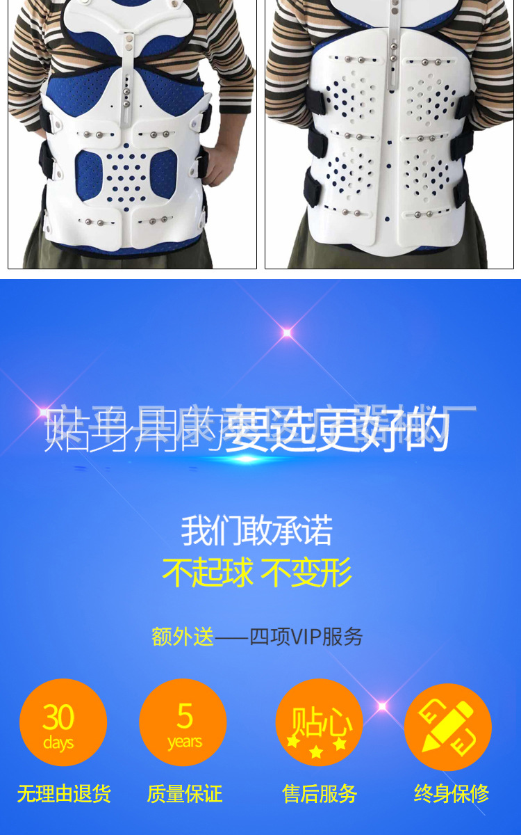 胸腰椎6