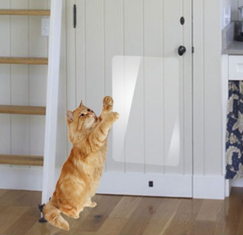 微信图片_20190516113938