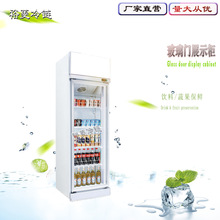 冷藏展示柜商用饮料柜 单门啤酒冰柜立式一门风冷饮料冷柜陈列柜