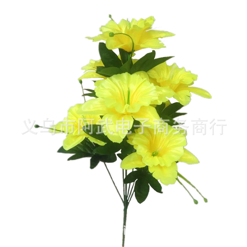 4d7cbe909f7b3362c41f206714f3ae