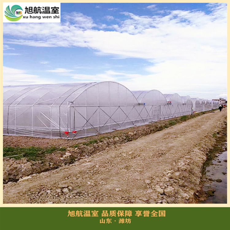 微信图片_20190408113729_副本