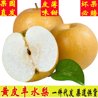【現貨豐水梨5斤裝】砀山新鮮水果梨子壹件批代發10斤裝産地直發