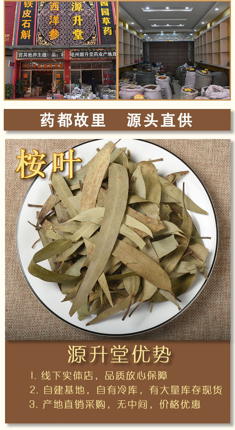 中药材批发广西桉树叶新货桉叶散装中草药 产地货源 一件代发-阿里巴巴