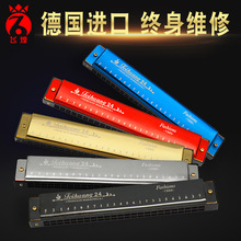 飞煌24孔C调复音口琴五色男女儿童初学演奏乐器