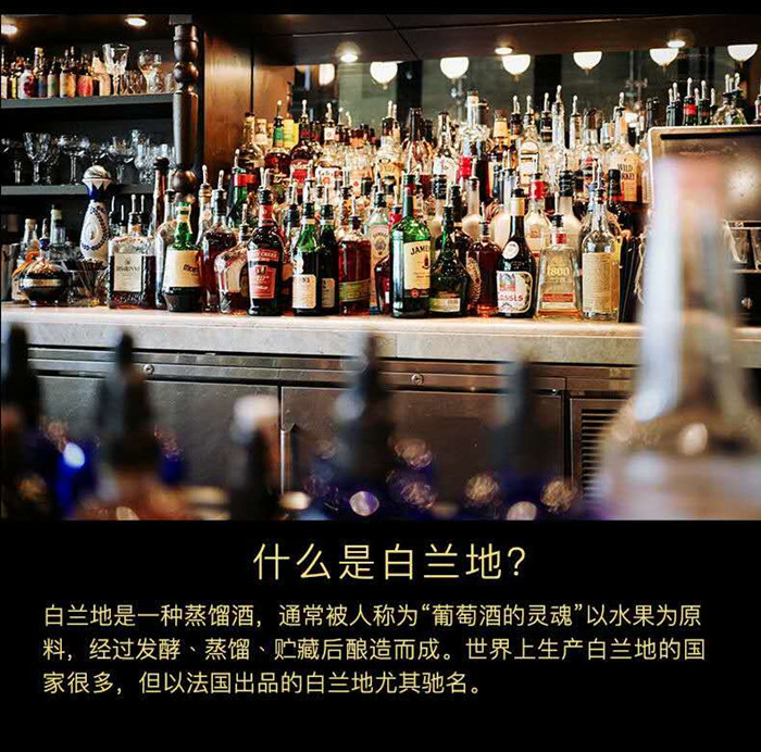 洋酒红酒葡萄酒厂家路易斯人头狮xo白兰地洋酒