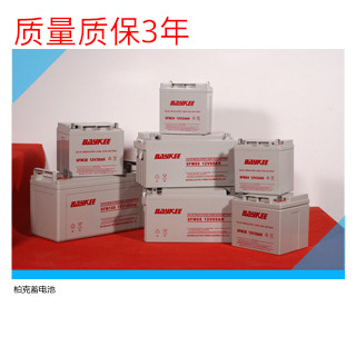 BAYKEE/柏克蓄电池6FM12,12V12AH阀控密封式铅酸免维护现货