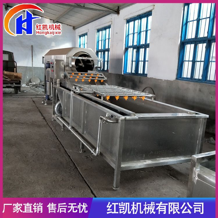 供应大枣清洗机 全自动淋喷式药材清洗机 不锈钢果蔬气泡清洗机