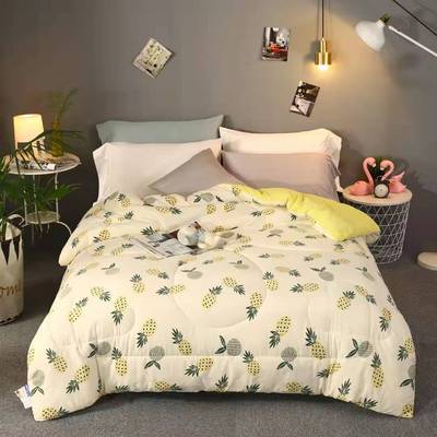 微商代发厂销高质量加厚无印风水洗棉被子可机洗超柔羽丝绒秋冬被