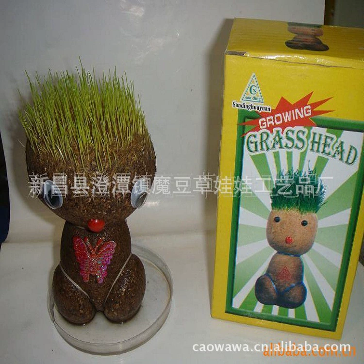 Посадка и полив Длинная трава Рожь Кошка Трава Большой Глаз Милый Мальчик Игрушка Для Выращивания Трава Кукла Форма Животного Трава Голова Кукла