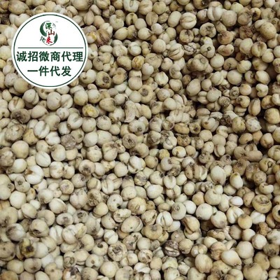 【川贝】种植川贝母养生食材产地批发一件代发全国招代理快速发货|ms