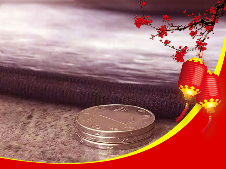 入户垫,门垫,走廊地毯