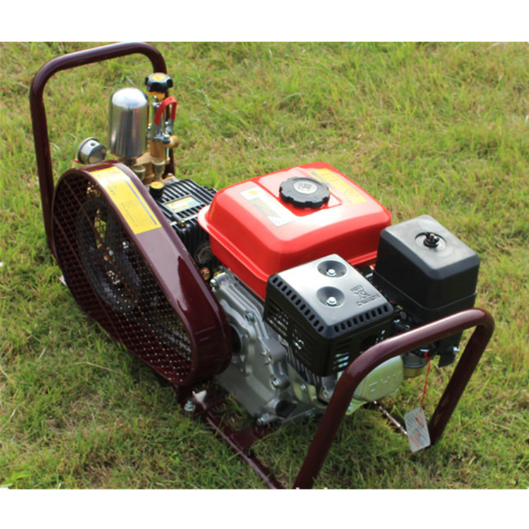 汽油动力担架式果树打药机 手推四轮高压机动打药机