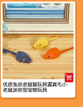 厂家批发猫用品蹭痒猫抓板猫薄荷 逗猫玩具老鼠塑料猫爪垫亚马逊详情8