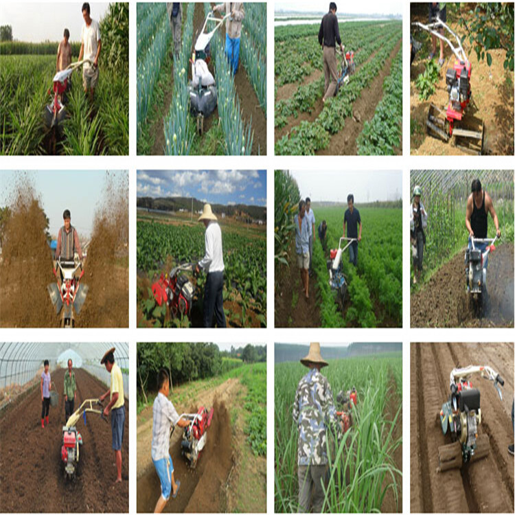 拖拉机旋耕机 菏泽 蔬菜种植开沟机