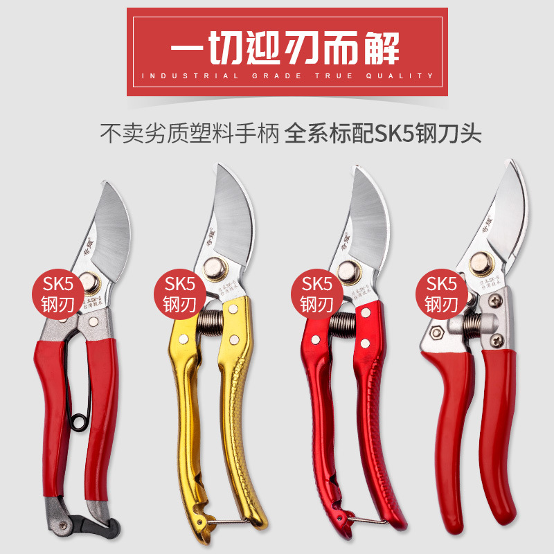 Tijeras de rama de fruta tijeras de podar portátiles tijeras de podar que ahorran mano de obra Herramientas de poda de rama de jardín tijeras florales