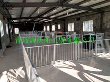 量大优惠厂家生产猪定位栏 猪用单体栏 母猪限位栏 育肥大栏