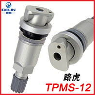 TPMS-12