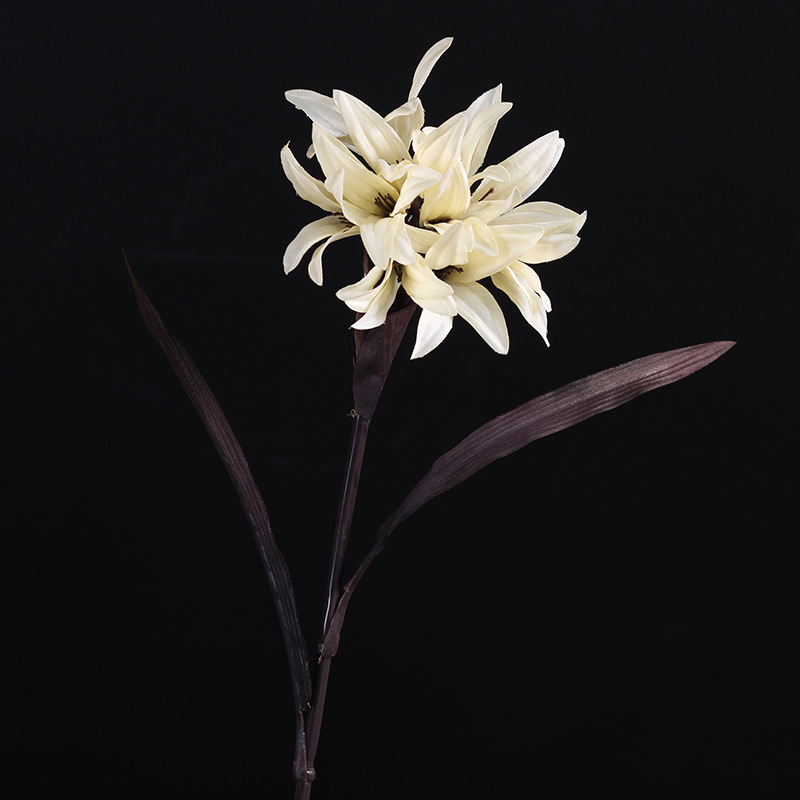 浅花杏 浅花杏厂家 品牌 图片 热帖 阿里巴巴