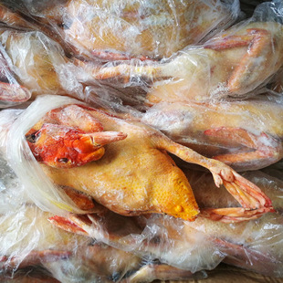 ���Sֱ�l�t�^���t���� ��ĸ���x�������������������l