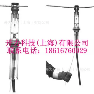 C403 1631   负荷跳线开关（美国CHANCE）