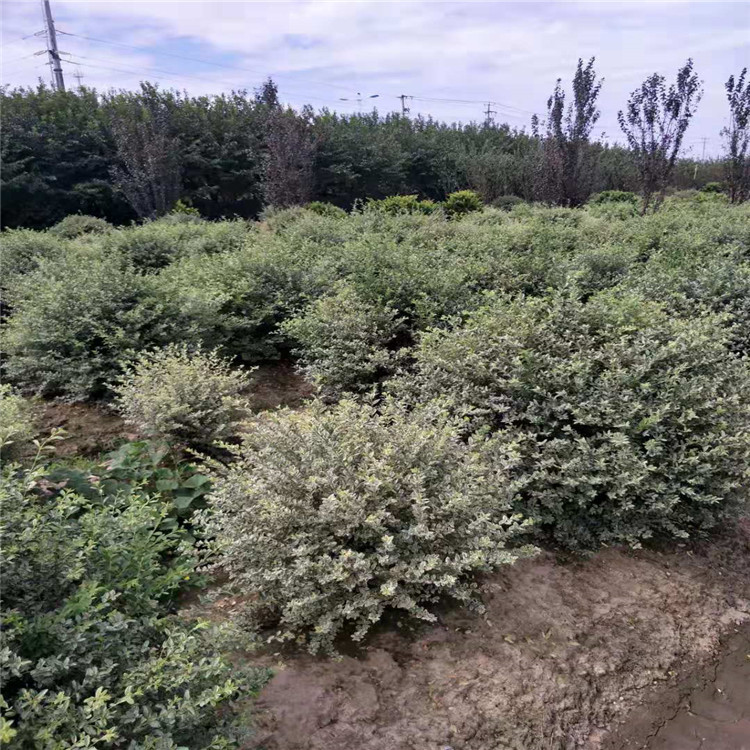 微信图片_20190924001036