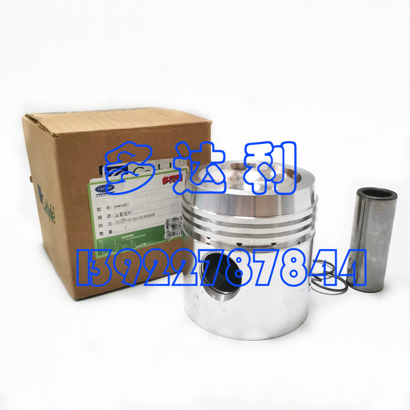 5H46482 5Hװ Carlyle 5H Carlyle PISTON, PISTON PIN KI