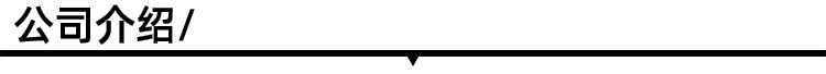 公司介绍