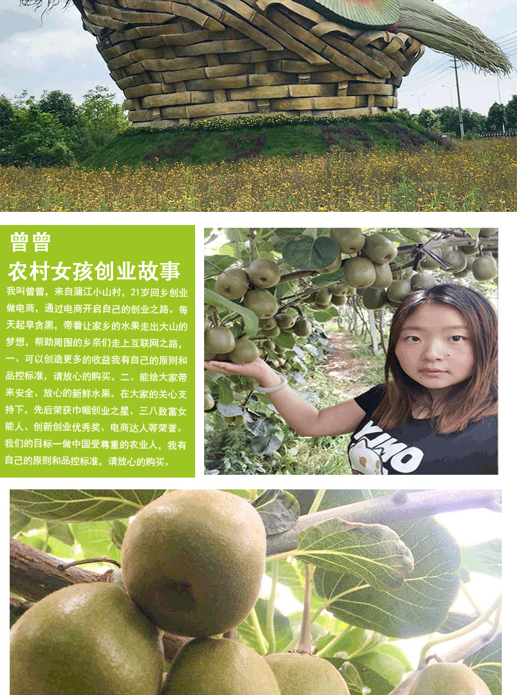 红心猕猴桃详情页2组_03