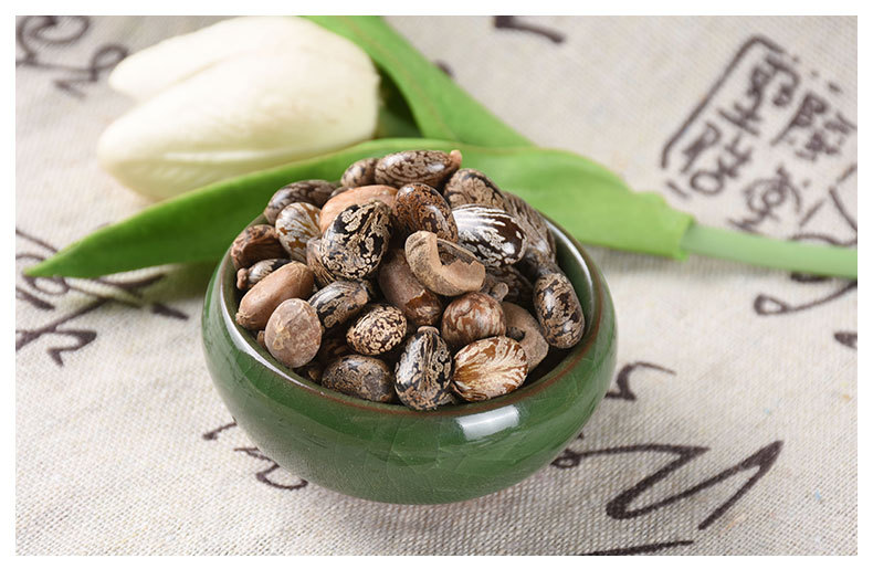 Castor Bean Seeds (Ricinus communis) — Dried Bi Ma Ren Herbal Seed, 500g quality and texture