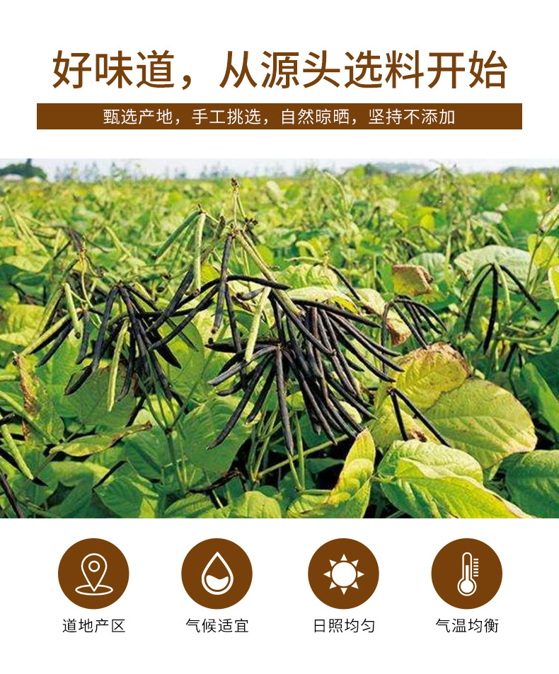 Mung Bean (Vigna radiata) — Dried Food-Herb Legume for Cooling Tea & Congee, 500g key features