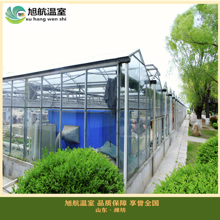 6842469_182545114002_2_副本