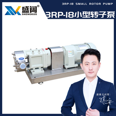 supply 3RP/18 Micro rotor pump hygiene horizontal small-scale Rotor pump wholesale 3RP Stainless steel Rotor pump