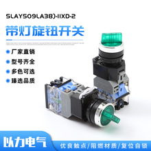 SLAY50A(LA38)-11XD/2/AC220V/DC24VmGɫo_P