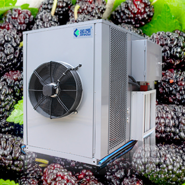 金凯桑葚小型空气能 食品烘干机热泵节能