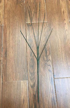 �S�����l  �z�W�� �����һ�֦ ���滨�ٻ�֦ �L�� �V�|5�^ 68CM