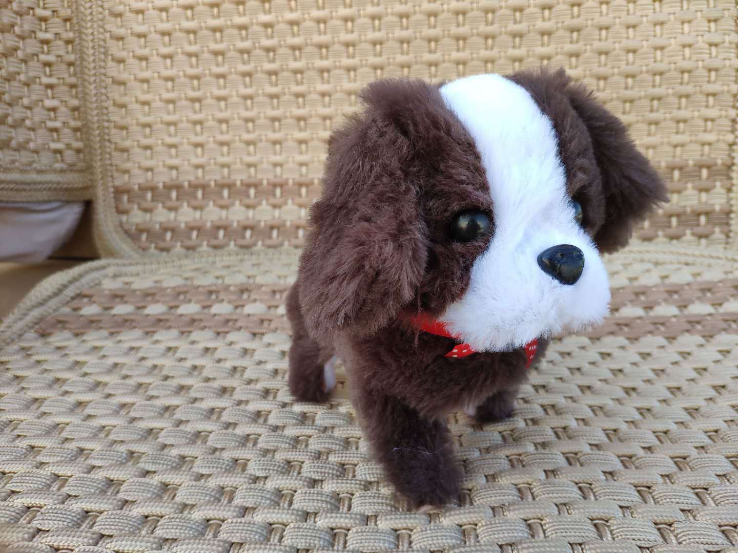 微信图片_20190324190104