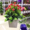 Fake flower potted plant simulation plant bonsai roses spot manufacturers direct selling 9.9 yuan store goods home clothing and decoration