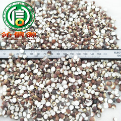 Dried lotus seed in small pieces, 1kg bulk, direct supply from origin, image of sliced lotus seed, "Qinxin Source" Chinese herbal medicine.
