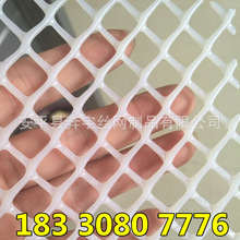 现货供应 鸡鸭鹅 育雏 白色 全新料熟胶 塑料床网 养殖塑胶网