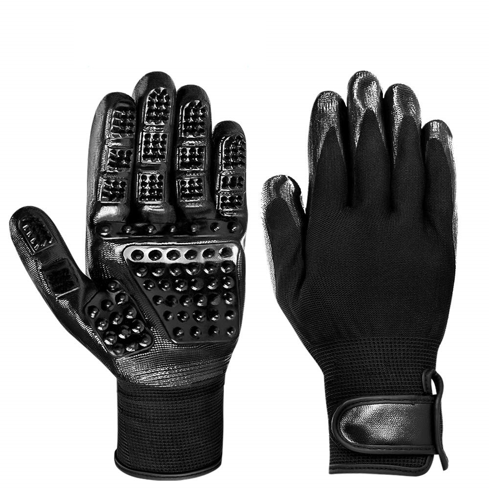 71v5Xl0SW+L._SL1000_1203