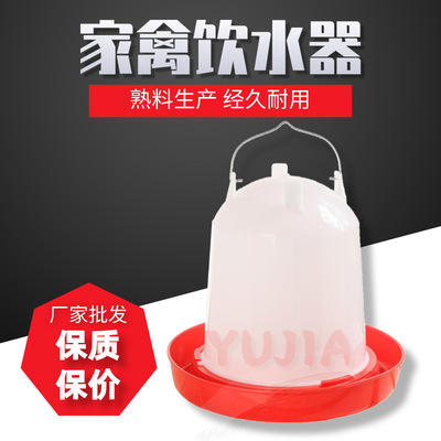 Manufactor wholesale dove Plastic thickening Nestling Pet chicken bucket automatic kettle Water dispenser