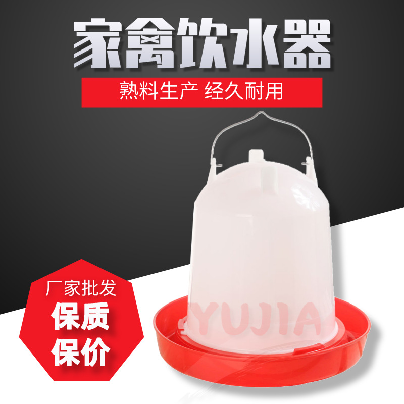 Manufactor wholesale dove Plastic thickening Nestling Pet chicken bucket automatic kettle Water dispenser