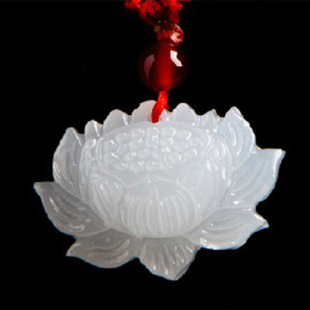 ����������ɏ������������������S���N��헉����l