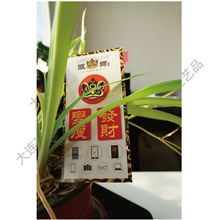 随意贴手机擦定制 手机清洁擦 电脑屏幕擦 手机擦手机清洁贴TDS