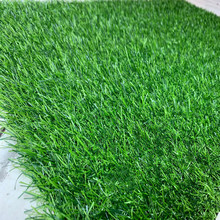 批发绿色仿真草坪地垫 进门防水防滑门垫 入户门家用防hu地毯