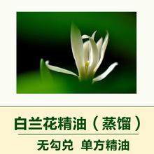 白蘭花葉油 白蘭花葉油批發 促銷價格 產地貨源 阿里巴巴