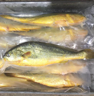 Ningde Big Yellow Croaker Желтая цветочная рыба морепродукты Свежий замороженный желтый кругаер Большой желтый кроман оптом